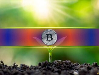 Less Than 1 BTC Might Be Enough to Retire: Here’s Why