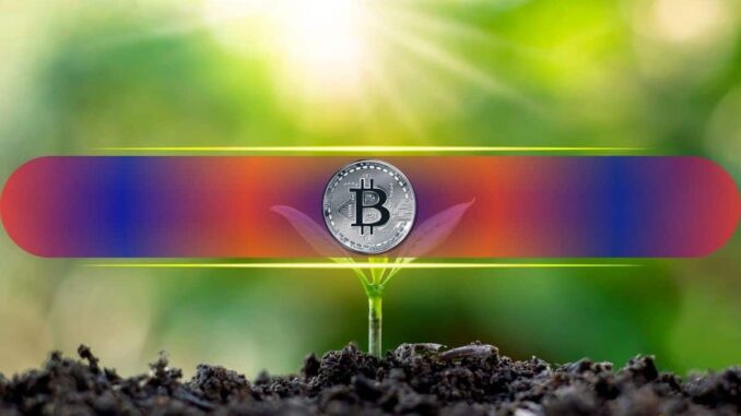 Less Than 1 BTC Might Be Enough to Retire: Here’s Why