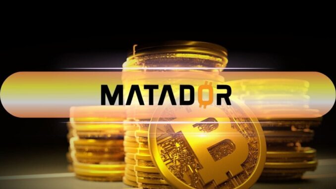 Matador Aims to Buy 6,000 BTC, Eyes Top 20 Spot by 2027