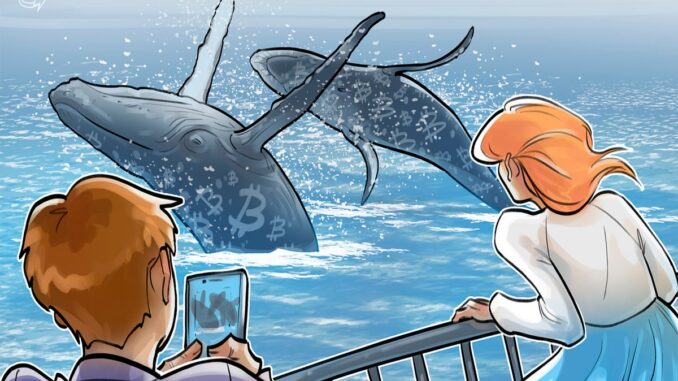 Satoshi-Era Whale Transfers $4.6B Bitcoin after 14-year HODL