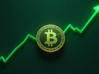 Bitcoin Cash Price