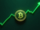 Bitcoin Cash Price