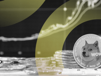Dogecoin, XRP Lead Altcoins as Bitcoin Dominance Falls