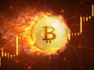 Exploring Digital Asset Treasury Companies: A New Investment Landscape