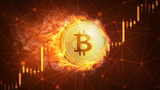 Exploring Digital Asset Treasury Companies: A New Investment Landscape