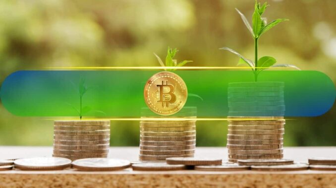 Long-Term BTC, ETH, XRP, SOL Investors Lock in $2.8B as Market Stalls