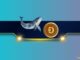 Massive DOGE Whale Activity Hints at $1 Breakout