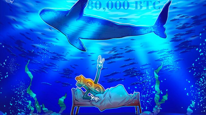 Quantum threat to Bitcoin? 80,000 BTC just moved after 14 years
