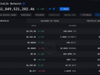 Vitalik Buterin Public Portfolio