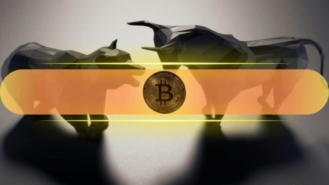 What On-Chain Data Means for BTC's Future