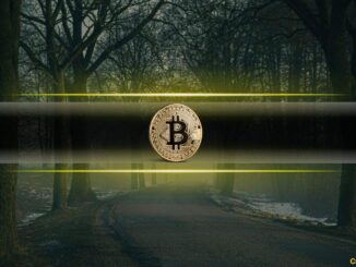 Will Bitcoin Hold the Line? Analysts Highlight the Most Critical Support Levels