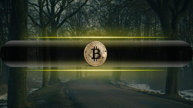 Will Bitcoin Hold the Line? Analysts Highlight the Most Critical Support Levels