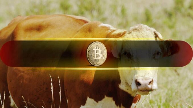 Bitcoin Bull Market Ending in 50 Days, Says Analyst Bitcoin Bull Market Ending in 50 Days, Says Analyst