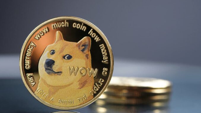 Dogecoin (DOGE) Rally Lacks Retail Mania