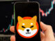 Shiba Inu