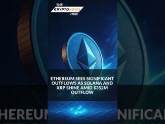 The Crypto News Hub