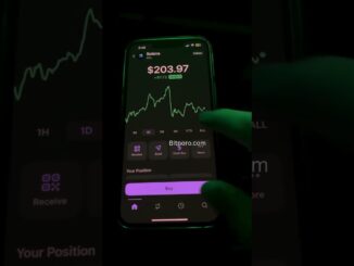 Bitnoro Crypto AI Trading Bot | Solana Phantom Wallet Balance