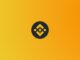 CEA Industries reveals $633M BNB holdings with plans to expand
