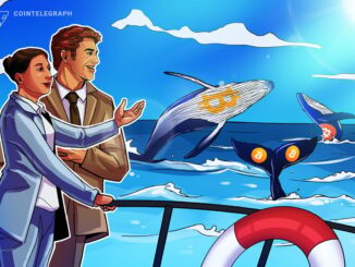 Whales Trade Bitcoin Keys for Comfort