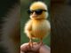 cute baby animals. #ai #shortsvideo #trending #viral #youtubeshorts #funny #comedy #baby #news #song