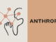 Anthropic Expands into Japan with Hidetoshi Tojo as New Head