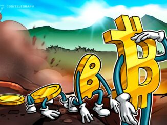 Bitcoin Treasury Firms Enter ‘Darwinian Phase’: Galaxy Research