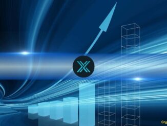 Immutable X and zkEVM NFT Sales Surge 55% in Q4 2024, But Market Participation Declines