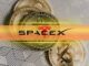 SpaceX, BlackRock Shift $296M in Bitcoin: Sell-Off Signal Ahead?