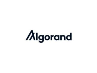 Algorand Foundation returns to the US, appoints new board for strategic blockchain initiatives