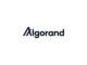 Algorand Foundation returns to the US, appoints new board for strategic blockchain initiatives