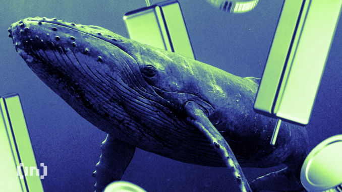 Crypto Whales Buy These 3 Tokens Amid Market Pump